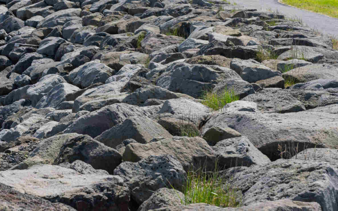 Choosing the Right Rock: A Guide for Construction and Landscaping Professionals