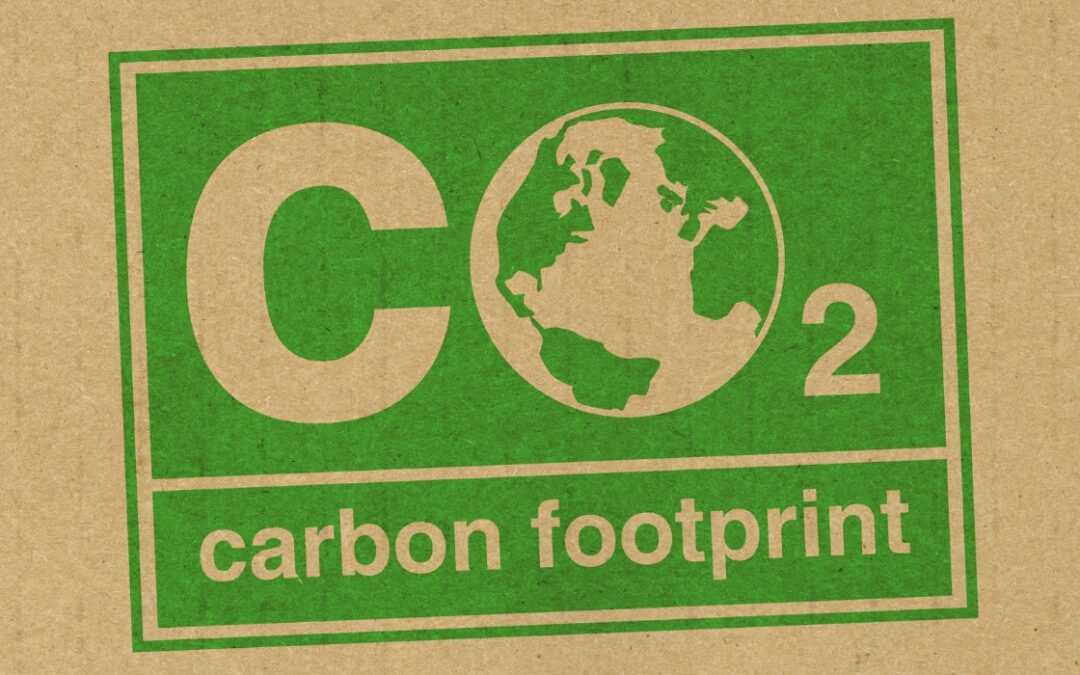 graphic that says carbon footprint