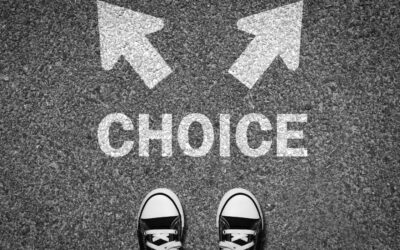 How to Choose the Right Rock Supplier for Municipal Jobs